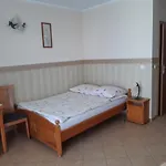 Feniks *